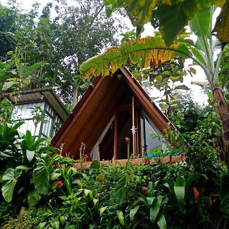 Eco Bedugul Adventurer Camp Bed & Breakfast Bagian luar foto