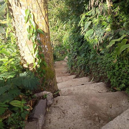 Eco Bedugul Adventurer Camp Bed & Breakfast Bagian luar foto