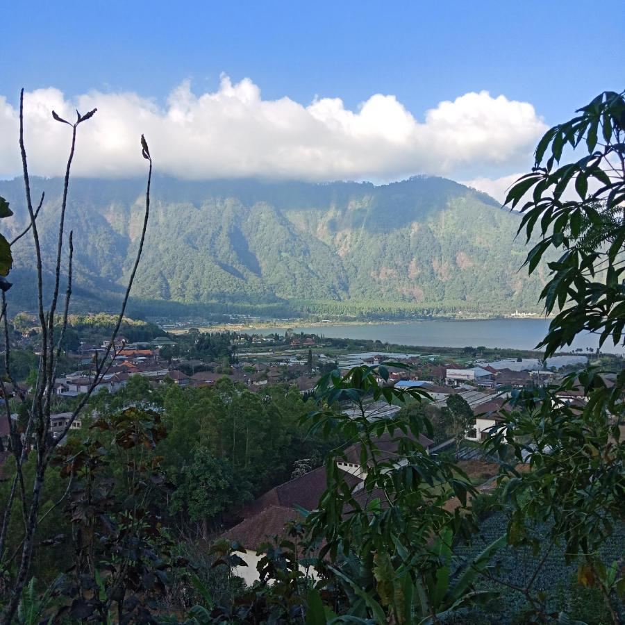 Eco Bedugul Adventurer Camp Bed & Breakfast Bagian luar foto