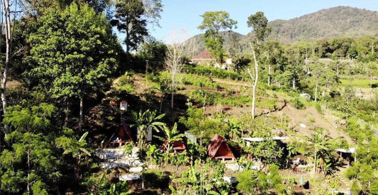 Eco Bedugul Adventurer Camp Bed & Breakfast Bagian luar foto