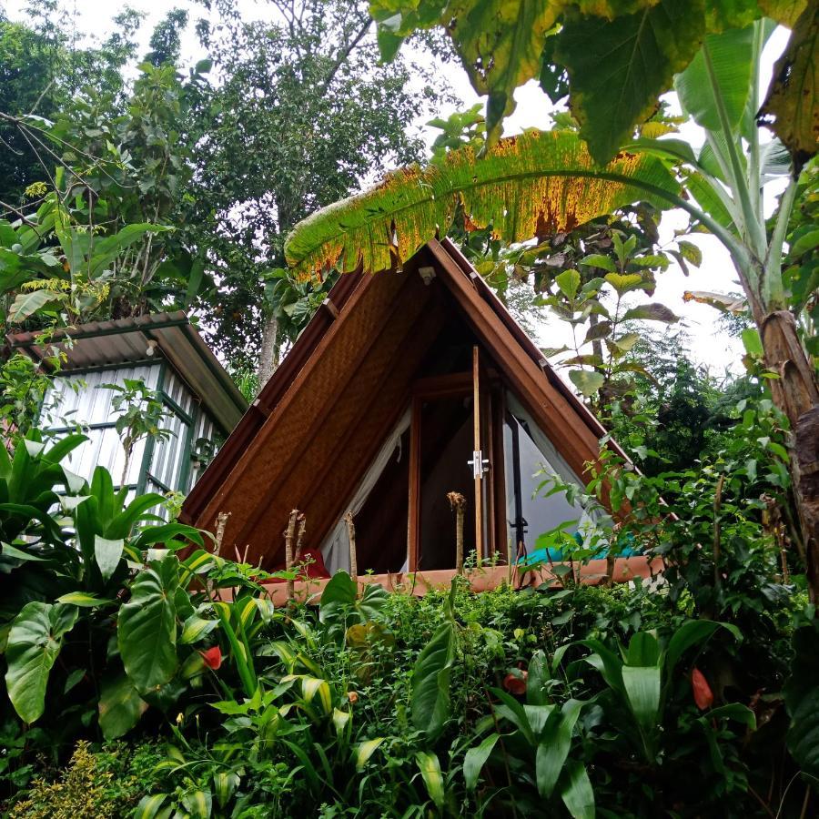 Eco Bedugul Adventurer Camp Bed & Breakfast Bagian luar foto