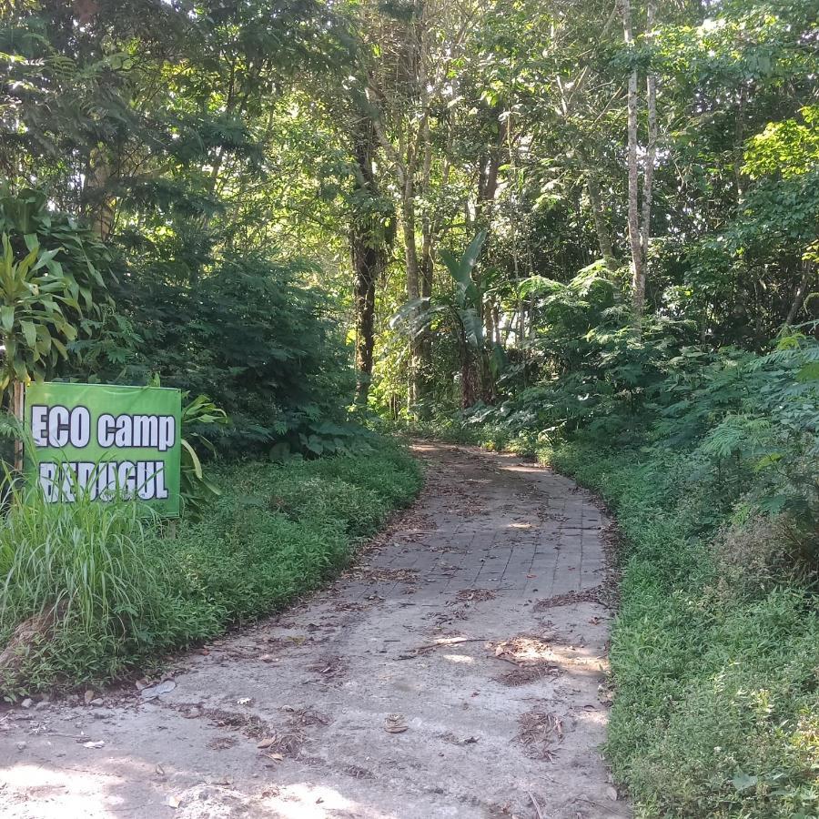 Eco Bedugul Adventurer Camp Bed & Breakfast Bagian luar foto