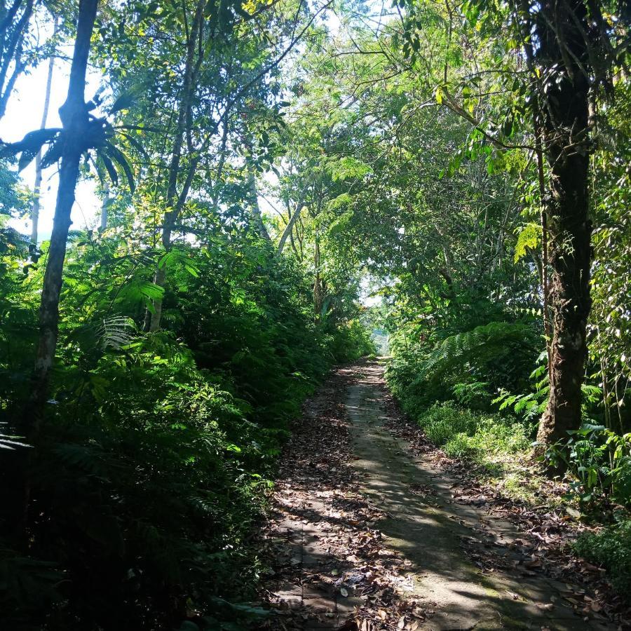 Eco Bedugul Adventurer Camp Bed & Breakfast Bagian luar foto