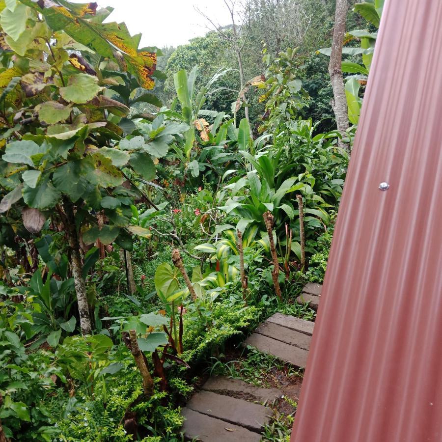 Eco Bedugul Adventurer Camp Bed & Breakfast Bagian luar foto