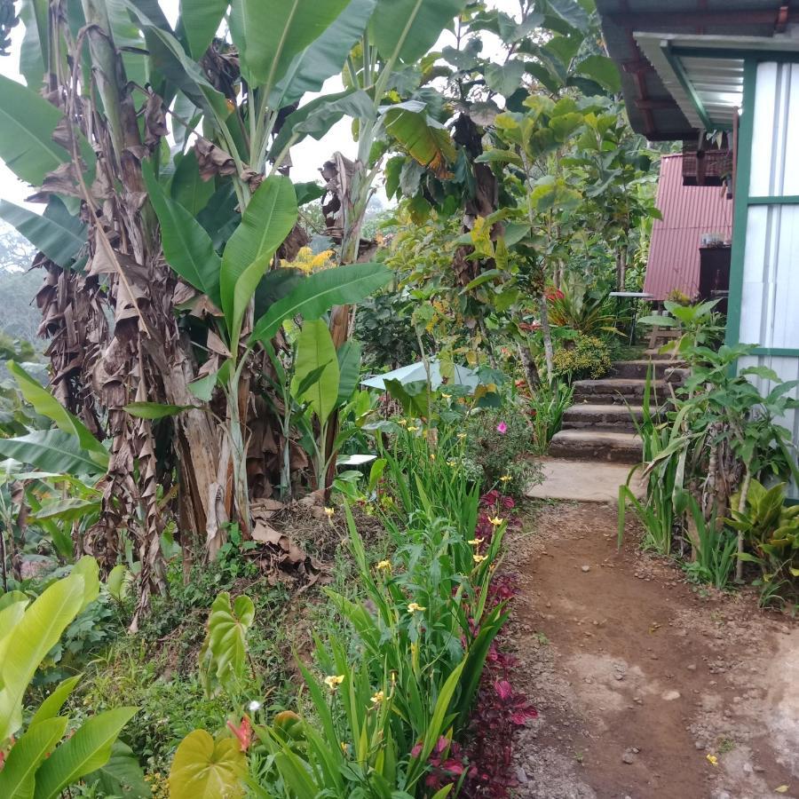 Eco Bedugul Adventurer Camp Bed & Breakfast Bagian luar foto