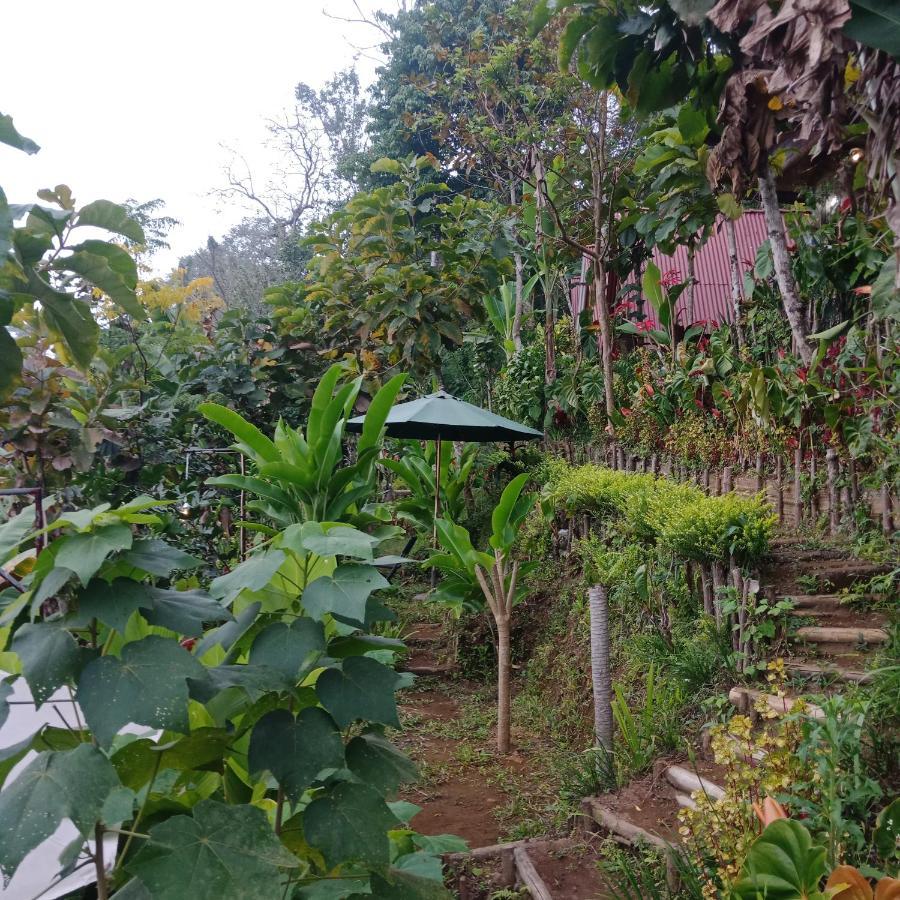 Eco Bedugul Adventurer Camp Bed & Breakfast Bagian luar foto